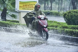 Chủ động ứng phó với thiên tai, đảm an toàn cho Nhân dân và thành công của Đại hội Đảng bộ tỉnh