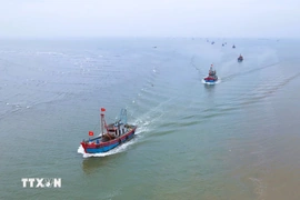 Thủ tướng yêu cầu tập trung tháng cao điểm chống khai thác hải sản bất hợp pháp