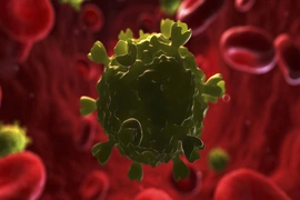 Đức phát hiện kháng thể HIV hiệu quả cao