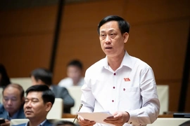 ĐBQH đề xuất xem xét lại việc quy định thẩm quyền giám sát của Ủy ban Thường vụ Quốc hội đối với Nghị quyết của HĐND cấp tỉnh