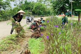 Xây dựng khu dân cư “Sáng - xanh - sạch - đẹp” ở Hà Trung