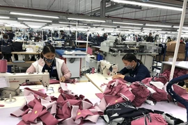 Thi đua “Giỏi việc nước, đảm việc nhà” trong nữ công nhân, viên chức, lao động