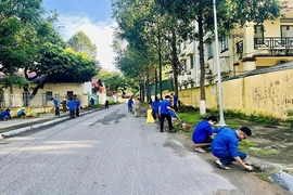 Ngày chủ nhật xanh thêm xanh - sạch - đẹp khu dân cư