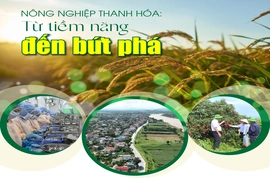 [E - Magazine] Nông nghiệp Thanh Hóa - Từ tiềm năng đến bứt phá