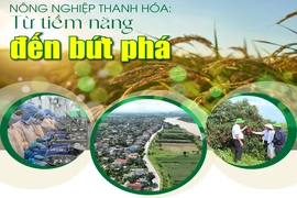 [E - Magazine] Nông nghiệp Thanh Hóa - Từ tiềm năng đến bứt phá