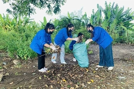 Bảo vệ môi trường - hành động thiết thực từ mỗi tổ chức, cá nhân