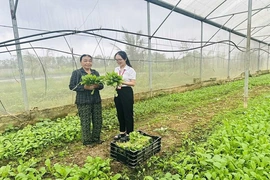 Bền bỉ đưa chính sách tín dụng ưu đãi đến khu vực nông thôn