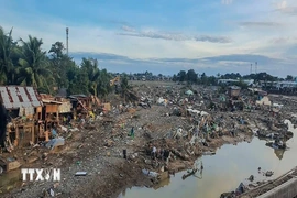 Gần 190 người thiệt mạng tại Philippines do siêu bão Kalmaegi
