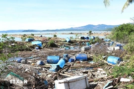 Ước tính thiệt hại ban đầu do ảnh hưởng bão số 13 là 7.050 tỷ đồng