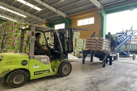 Đảm bảo nguồn phân bón cho cây trồng vụ đông