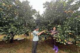 Điền Lư đưa nghị quyết đại hội Đảng vào cuộc sống