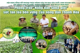 [E - Magazine] Phong trào Nông dân SXKD giỏi - sức lan tỏa bền vững của nông dân Thanh Hóa