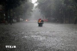 Bão Kalmaegi tăng cấp, hướng về khu vực giữa Biển Đông