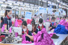 Thích ứng linh hoạt - Dệt may Thanh Hóa giữ vững đà xuất khẩu