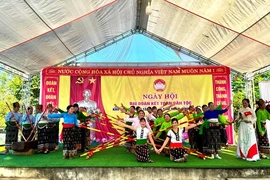 Nhân dân thôn Tân Lập vui Ngày hội Đại đoàn kết toàn dân tộc