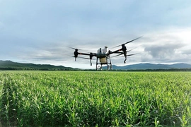 Máy bay phun thu ốc n ông nghi ệp: Bước tiến c ách m ạng trong canh t ác lúa Vi ệt Nam