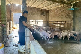 Bảo đảm nguồn cung thực phẩm dịp cuối năm