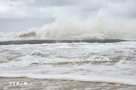 Từ nay đến giữa tháng 12 khả năng xuất hiện 1-2 cơn bão, áp thấp nhiệt đới