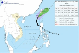 Bão số 14 suy yếu dần thành áp thấp nhiệt đới từ sáng 13/11