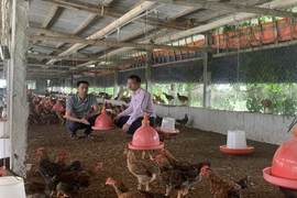 Nâng cao hiệu quả quản lý, phục vụ người dân ngày càng tốt hơn