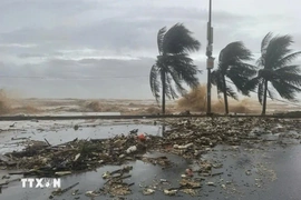 Đề nghị các tỉnh ven biển từ Quảng Ninh đến Đắk Lắk chủ động ứng phó bão số 14