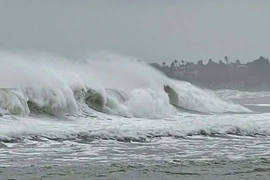 Biển Đông khả năng xuất hiện 1-2 cơn bão, áp thấp nhiệt đới trong 1 tháng tới