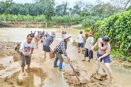 Tân Thành tích cực phòng, chống thiên tai