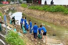 Rác thải nhựa và sự tác động đến môi trường, hệ sinh thái