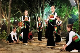 Đại đoàn kết toàn dân tộc - Gốc vững, cây bền