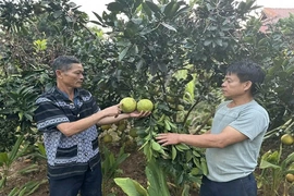 Người có uy tín hết lòng vì công việc tập thể