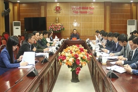 Cho ý kiến vào dự thảo Chương trình đối ngoại tỉnh Thanh Hóa, giai đoạn 2026-2030