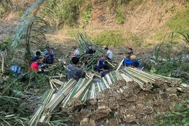 Từ bản vùng lũ đến “điểm sáng” thoát nghèo