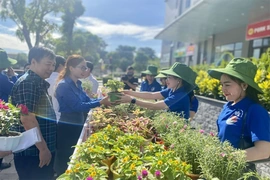 Chung tay chống rác thải nhựa