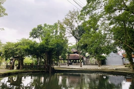 Nặng lòng với quê hương