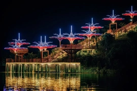 LAMORI by Night: Cuộc đối thoại giữa đại ngàn và vũ trụ