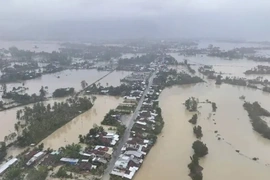 Phân bổ 150 tỷ đồng cho 4 tỉnh Khánh Hòa, Đắk Lắk, Gia Lai và Lâm Đồng