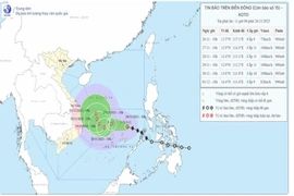 Bão số 15 đổi hướng, tăng cấp và có 3 kịch bản xảy ra