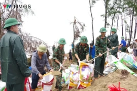 6 tỉnh, thành phố miền Trung đảm bảo an toàn đê điều ứng phó bão số 15