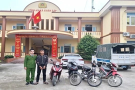 Bắt giữ đối tượng chuyên trộm cắp tài sản