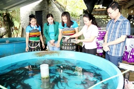 Phụ nữ Thanh Hóa: Khơi dậy tinh thần tự chủ, sức sáng tạo và khát vọng vươn lên