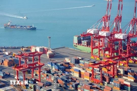 1 năm sau sự cố thiết quân luật, Hàn Quốc vẫn còn những “vết sẹo” chưa lành