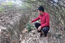 Sớm triển khai các khu tái định cư ở xã Trung Lý