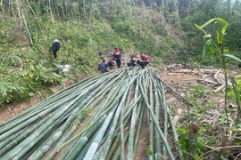 Khấp khởi luồng được giá