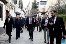 Phái đoàn HĐBA LHQ thực hiện chuyến thăm hiếm hoi tới Syria