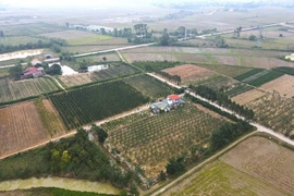 Từ câu “khích tướng”, một nông dân thuần hóa đất hoang thành trang trại kiểu mẫu