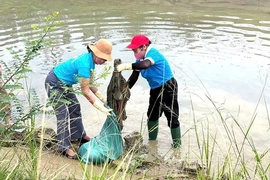 Duy trì các hoạt động, mô hình kiểm soát và bảo vệ môi trường