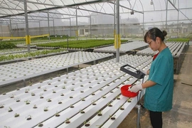 Kết nối cung cầu tạo đà cho nông sản Thanh Hóa vươn xa (Bài 1): Phát triển sản phẩm nông nghiệp chủ lực ứng dụng công nghệ cao, quy mô lớn