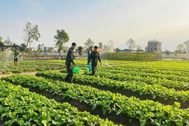 Thi đua Quyết thắng trong lực lượng vũ trang tỉnh: Gắn công tác xây dựng Đảng và học tập, làm theo Bác