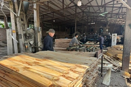 Lương Sơn trồng rừng gắn với chế biến