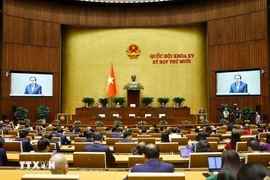 Bầu cử Quốc hội và HĐND: Bảo đảm thực hiện tốt quyền, trách nhiệm của Mặt trận Tổ quốc